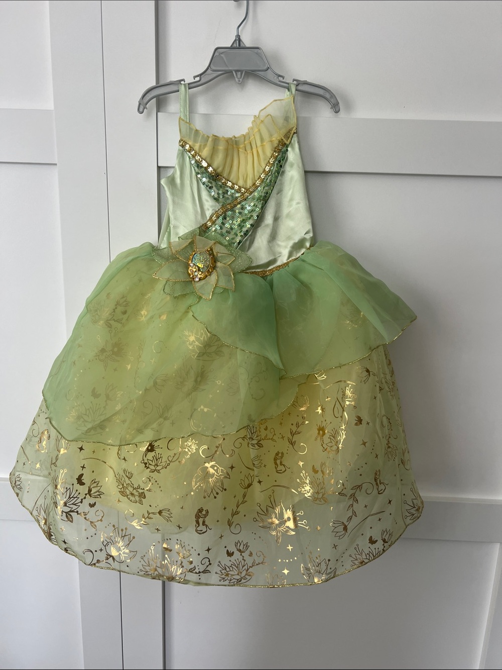 Disney Princess and the Frog Tiana  smoke free house